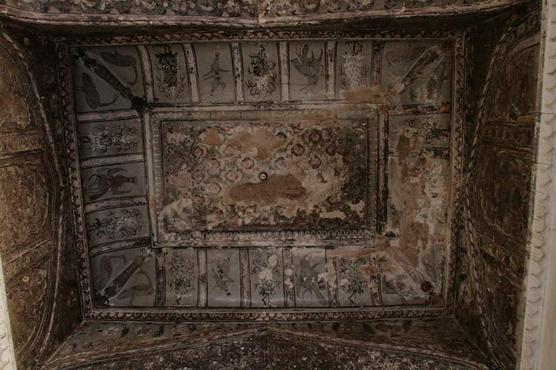 India & Nepal 2011 - 1082